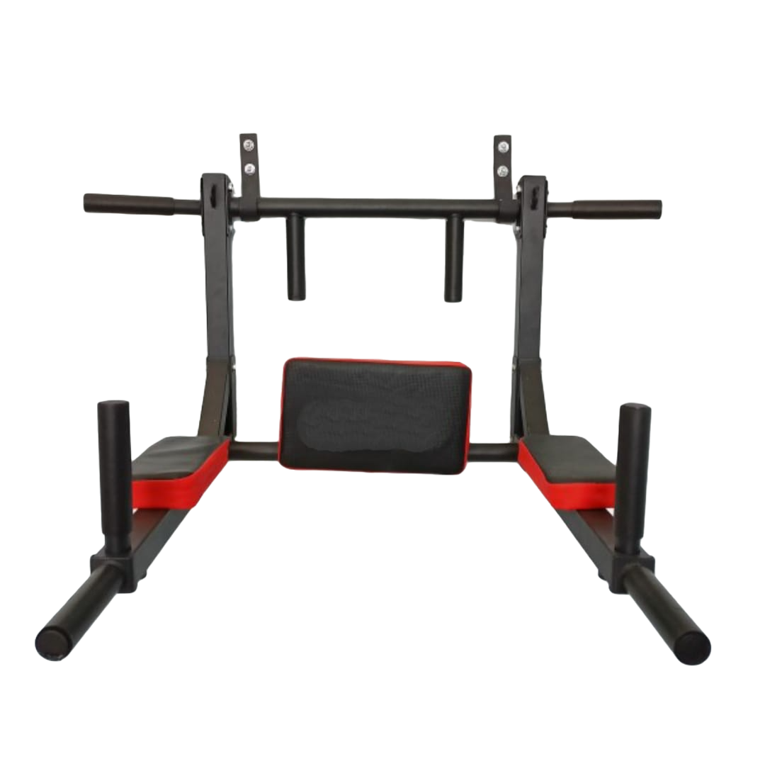 LIFESPORTS - New Alat Olahraga Gym Fitness Pull Up Bar & Dip Station Tembok Multifungsi